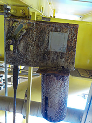 Constant spring 30years service2